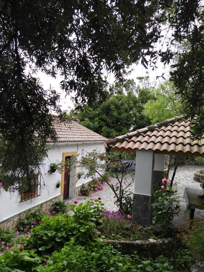 Casa El Cerro Villa El Bosque Luaran gambar